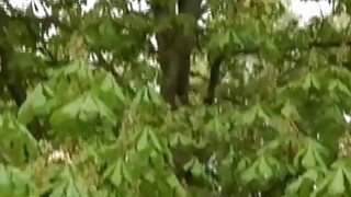 国产精品主播中文字幕,成人视频高清免费观看